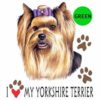 Yorkshire-Terrier-D115-300×300