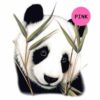 Wild-Life-W4-300×300