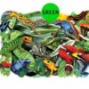Wild-58-300×300-1